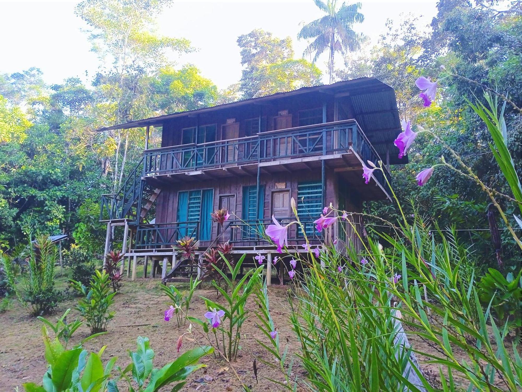 Cabanas Eco Logicas Mu'Ue Loreto Mocagua Dış mekan fotoğraf