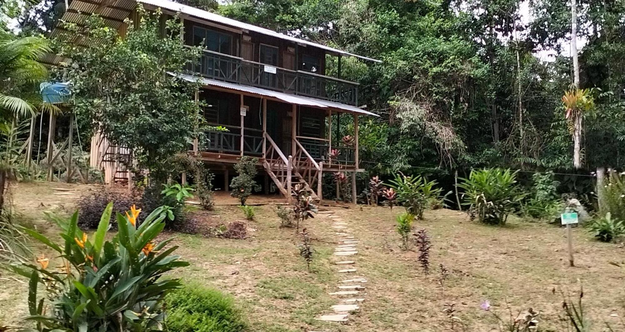 Cabanas Eco Logicas Mu'Ue Loreto Mocagua Dış mekan fotoğraf